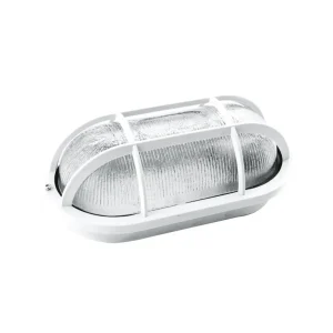 Tortuga Fundicion Aluminio Ovalada 60W